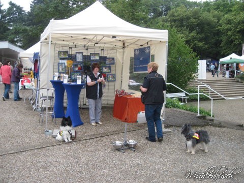 DOG DAY Düsseldorf 2011