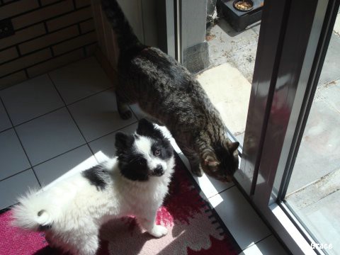 Grace und Kater Jake