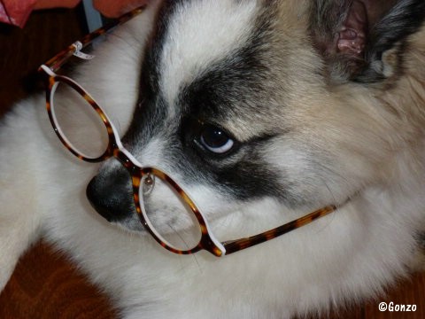Brille?