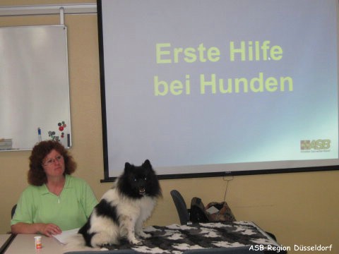 „Erste Hilfe am Hund“