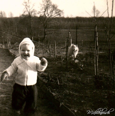 Über mich als Züchter