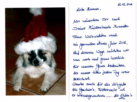 Welpen Weihnachtspost