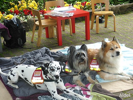 Elli und Bo auf dem Märchenfest