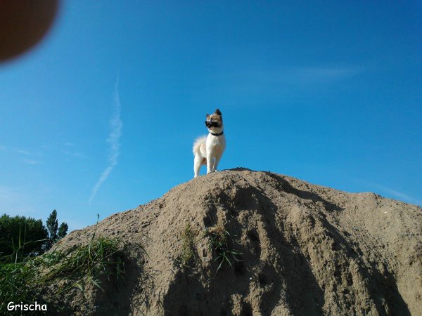 Grischas Urlaub in Kellenhusen